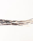 African Porcupine Quills